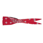 Side By Side Old School Mens Red Paisley Bandanna